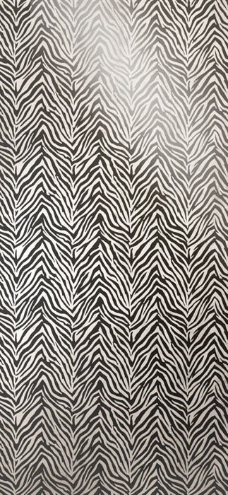 Zebra Stripes - фото 8301